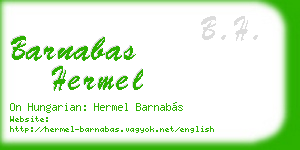 barnabas hermel business card
