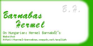 barnabas hermel business card